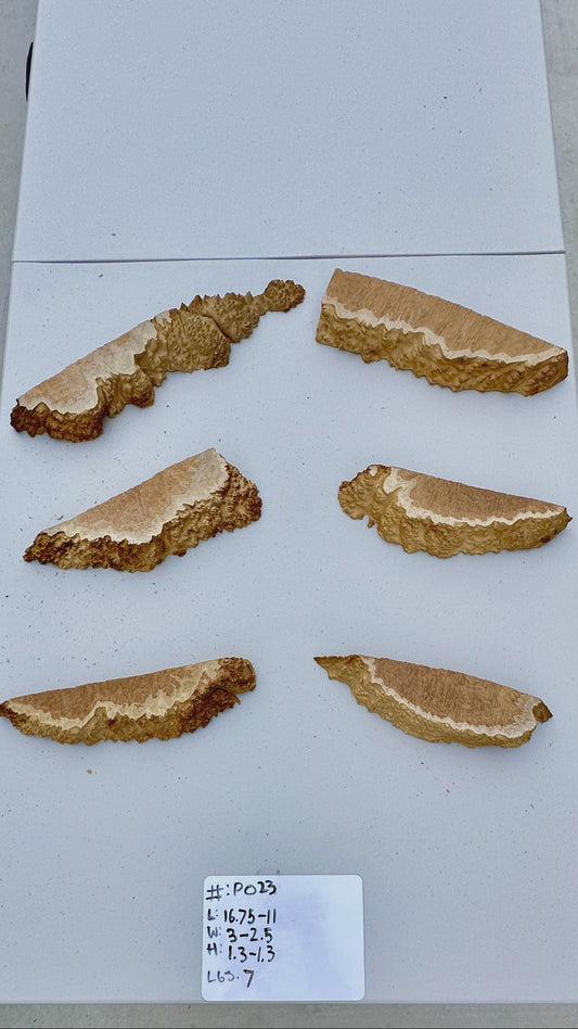 Brown Mallee Burl Multi Sets #P023