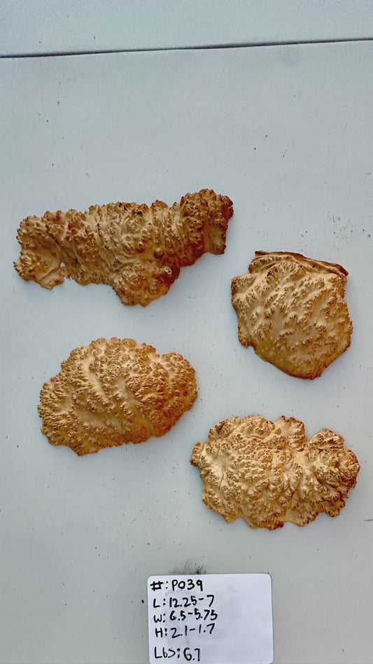 Brown Mallee Burl Multi Sets #P038