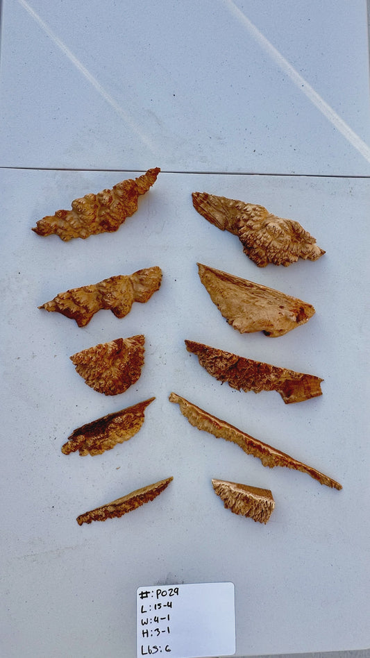 Red Mallee Burl Multi Sets #P029